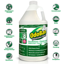 Odoban Concentrated Odor Eliminator, Eucalyptus, Gallon, 4/Case